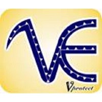 Vidhu Epoxy Coatings logo - Similar company to Ca Composites Limited