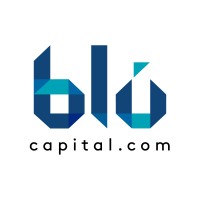 Blu Capital USA logo - Similar company to Lf Holding