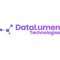 DataLumen Technologies logo - Similar company to Data-Edge Analytics Ltd