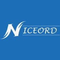 Niceord logo - Similar company to Niceone Games