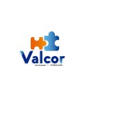 VALCOR FACTOR HUMANO logo - Similar company to Sharktec México