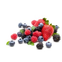 Total Worldfresh logo - Similar company to Worldfresh