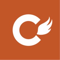 Copperwing logo - Similar company to Leap Logic