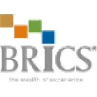 Brics Securities