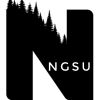 NGSU logo - Similar company to Dynamic Trades, Inc.