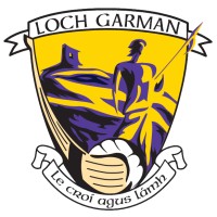 Wexford Gaa