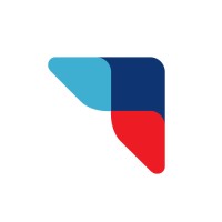 Netizens Technologies logo - Similar company to Prolance It