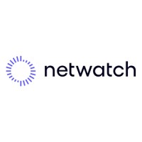 Netwatch logo - Similar company to Rolland Solutions