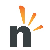 Netrio logo - Similar company to Agenda Consulting
