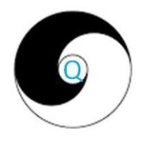 Punter & Partners logo - Similar company to Bambouskill Consulting & App