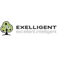 Exelligent logo - Similar company to Exelligent