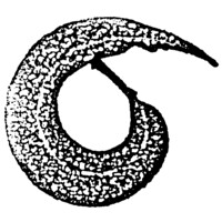 Fiona Robbé Landscape Architects logo - Similar company to Permabees