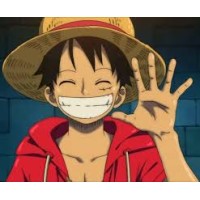 One Piece Crew logo - Similar company to Onepiece Work