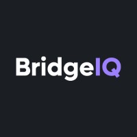 BridgeIQ logo - Similar company to Maldo