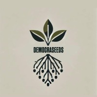 DEMOCRASEEDS logo - Similar company to Giovani Del Museo Poldi Pezzoli