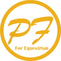 Pair Fashion-Equestrian logo - Similar company to Equindex