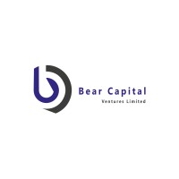 Bear Capital Ventures Limited logo - Similar company to Spatialbuzz