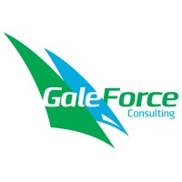 Gale Force Consulting Partners logo - Similar company to Rubech It