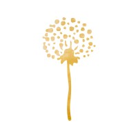 Princesėms.lt logo - Similar company to Matuok.Eu - Leica Geosystems Lietuvoje