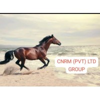 DARK SPACE 4 (PVT) LTD logo - Similar company to Explaneta Space Solutions