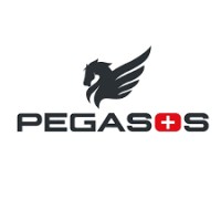 Pegasos Hayvan Hastanesi logo - Similar company to Urlavet Animal Hospital