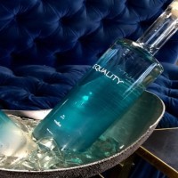 Equality Vodka logo - Similar company to Wl Distillery
