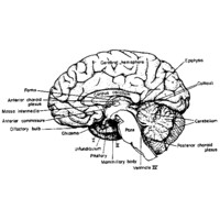 Bryan Wu & Associates logo - Similar company to Code With Aloha
