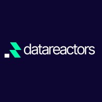 Data Reactors logo - Similar company to Octopus Analytics
