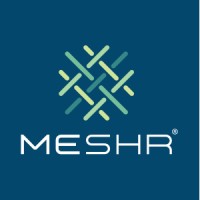 Meshr - Quality Networking Out Of Office