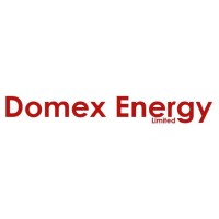 Domex Energy Limited logo - Similar company to Domex Bikes