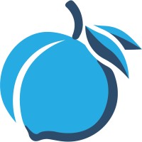 Nectarine logo - Similar company to Cryptona