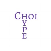 ChoiHype logo - Similar company to Idatis