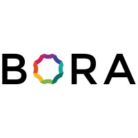 Bora Engineering logo - Similar company to Vekta Group