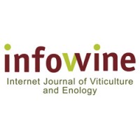 Infowine logo - Similar company to M_T Studio