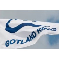 Gotland GPe Circuit/Gotland Ring logo - Similar company to Dragon Guild