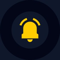BlingCompany logo - Similar company to Point Centurion