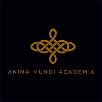 ANIMA MUNDI ACADEMIA logo - Similar company to Meta Space Gallery