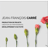 JeanFrancoisCarre.Com logo - Similar company to Adltv
