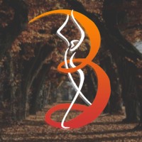 Ballato logo - Similar company to Ballator Insurance Group