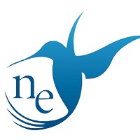 Nesteye Insights Pvt Ltd. logo - Similar company to Semsols Technologies Private Limited