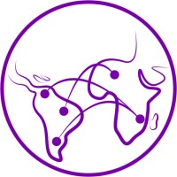 Global SouthXSouth Consulting logo - Similar company to Andaal