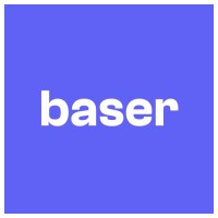 Baser logo - Similar company to Dolphin Ai