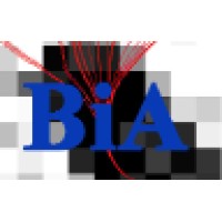 Boston Image Analysis logo - Similar company to Image Quality Labs, Inc.