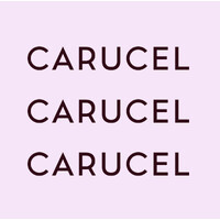 Carucel Eiendom logo - Similar company to Qalyptus
