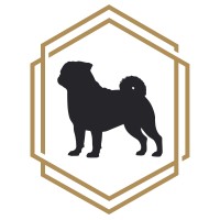 Smug Pug Media logo - Similar company to Studio 46