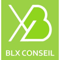 BLX CONSEIL logo - Similar company to Axium Performance