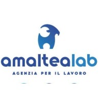 Amaltea Lab logo - Similar company to Studio L-Gest S.A.S.