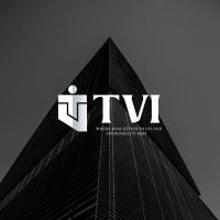 TVI logo - Similar company to Dst Consultancy