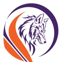 Wolf DataLab logo - Similar company to Bem Labore