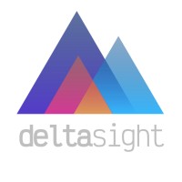 Deltasight logo - Similar company to Serve Xs B.V.